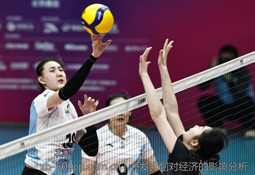 大发计划对经济的影响分析