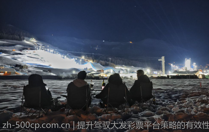 深入理解大发快3彩票计划的算法与规则